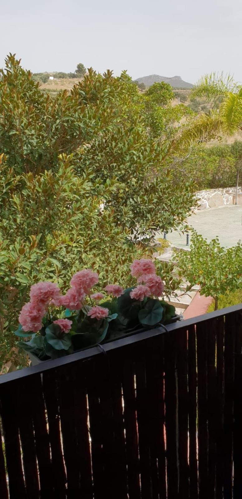 Hotel Cortijo De Salia Alcaucin Room photo